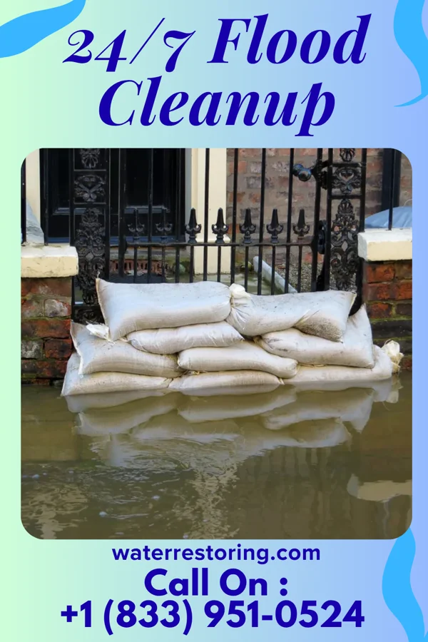 24/7 Flood Cleanup in Granada, MN