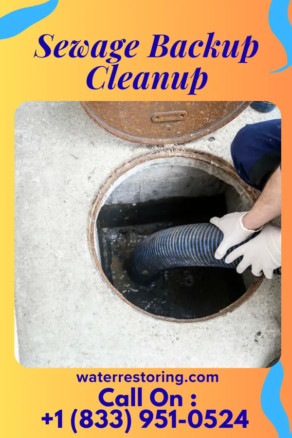 Sewage Backup Cleanup in Granada, MN